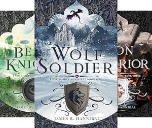 Christian fantasy book series for teens